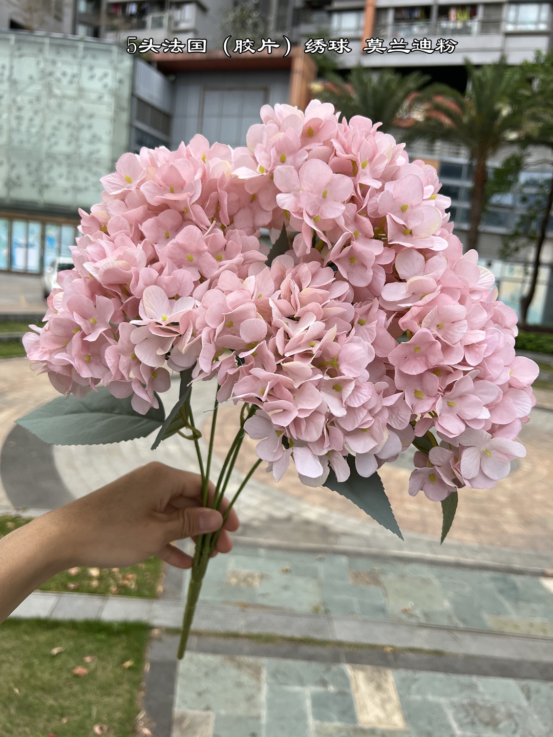 ตกแต่งงานแต่งงาน Rose Dusty สี - Baby Rice Food บทวิจารณ์และราคา